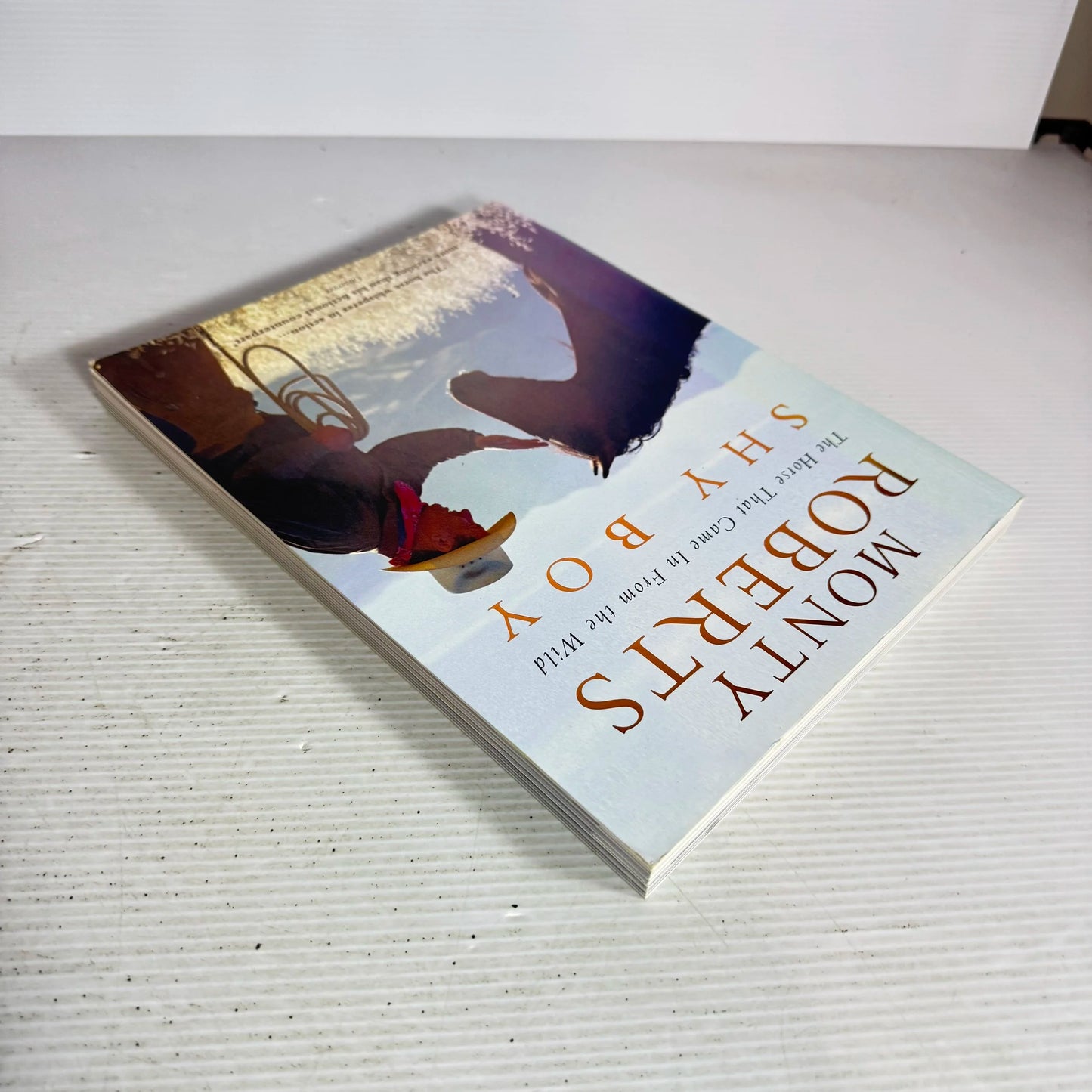 Shy Boy : The Horse That Came In From the Wild - Monty Roberts