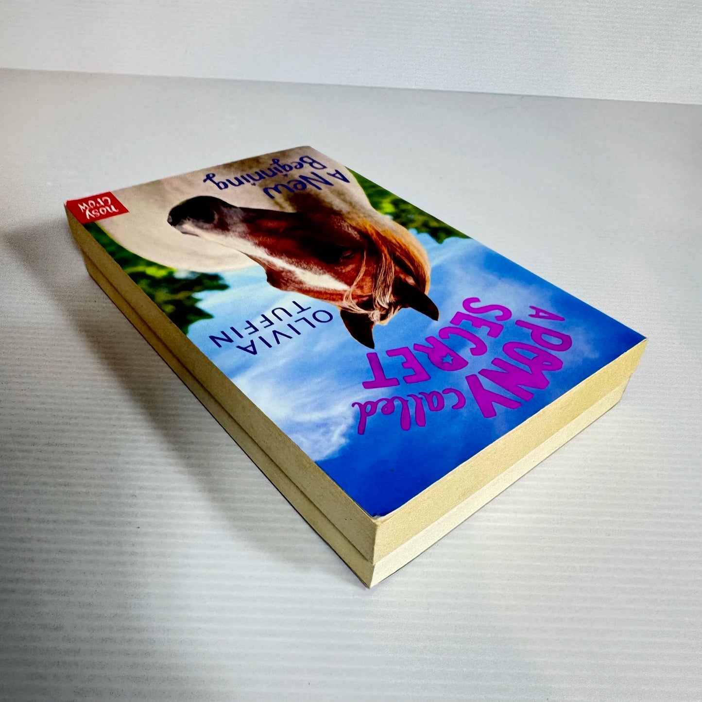 Children Pony Book Bundle x 2 Pony Club Secrets : Mystic and the Midnight Ride and A Pony Called Secret : A New Beginning