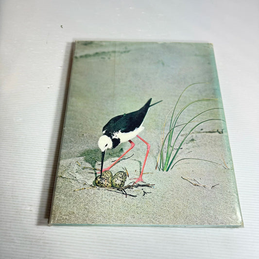 Refocus on New Zealand Birds : Bird Photography and Observation - G. J. H. Moon