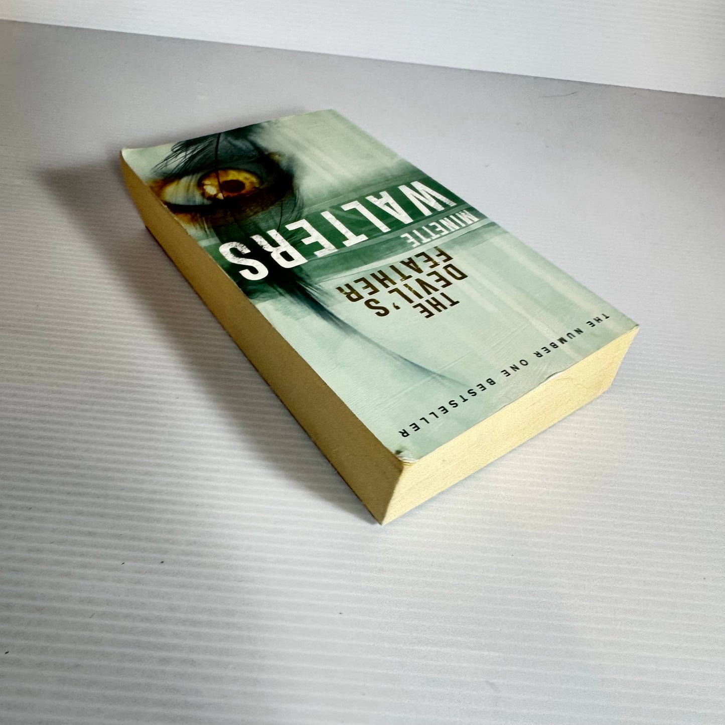 The Devil's Feather - Minette Walters