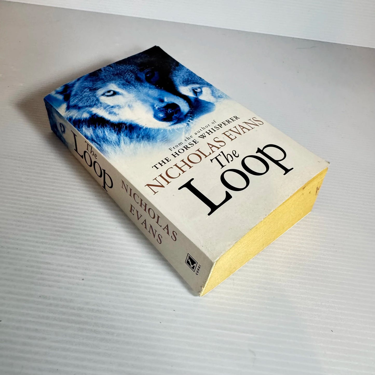The Loop - Nicholas Evans