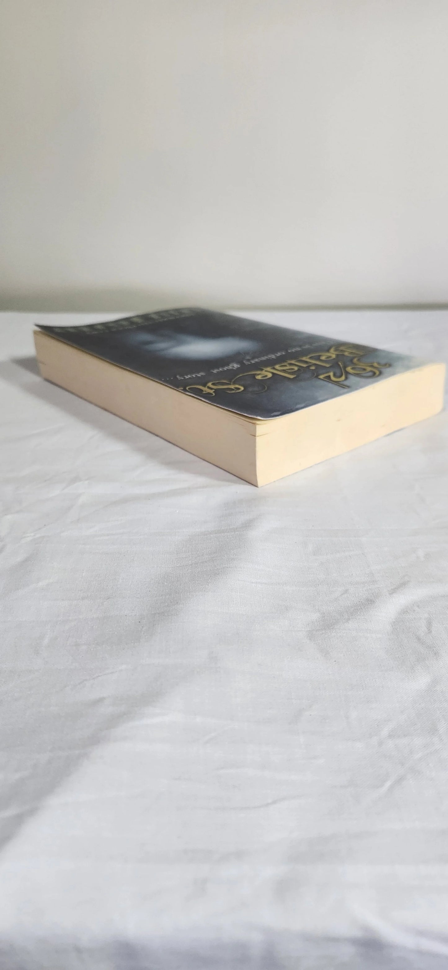 362 Belisle St - Susie Molohey