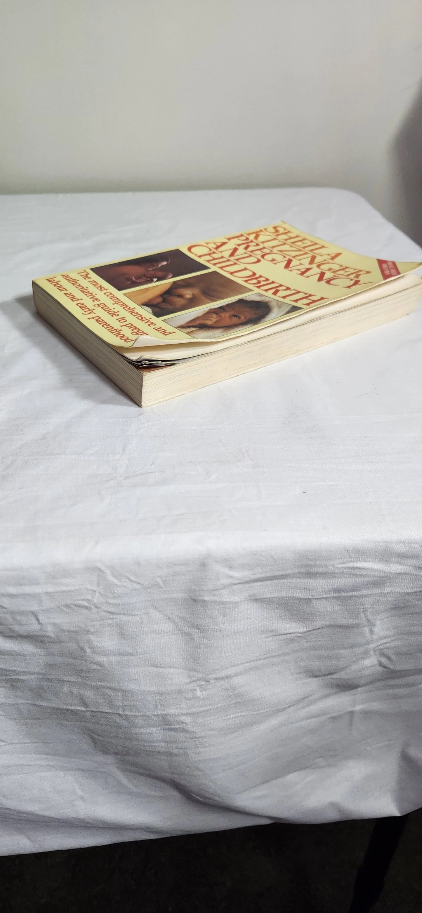 Shelia Kitzinger Pregnancy & Childbirth