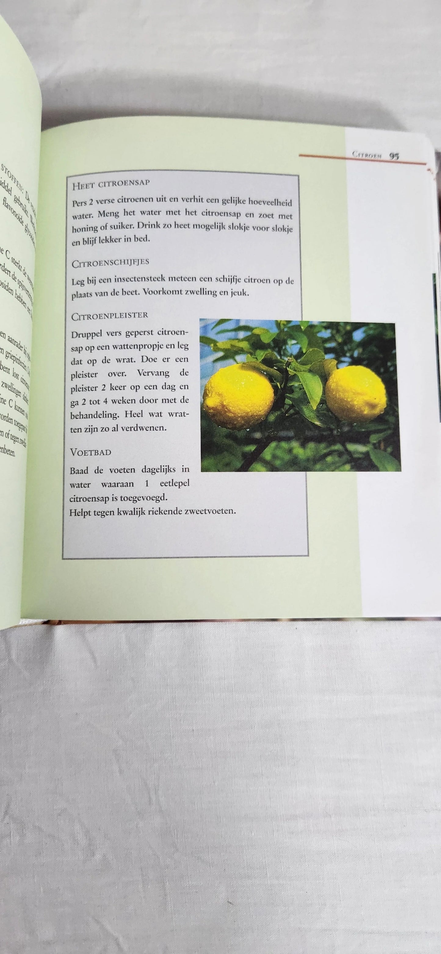 Greneeskrachtige Kruiden - Alles Over