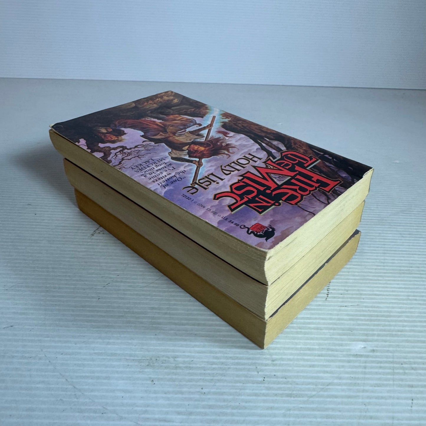 Holly Lisle Book Bundle x 3 : Fire in The Mist, Bones of the Past, Mind of the Magic (2976)