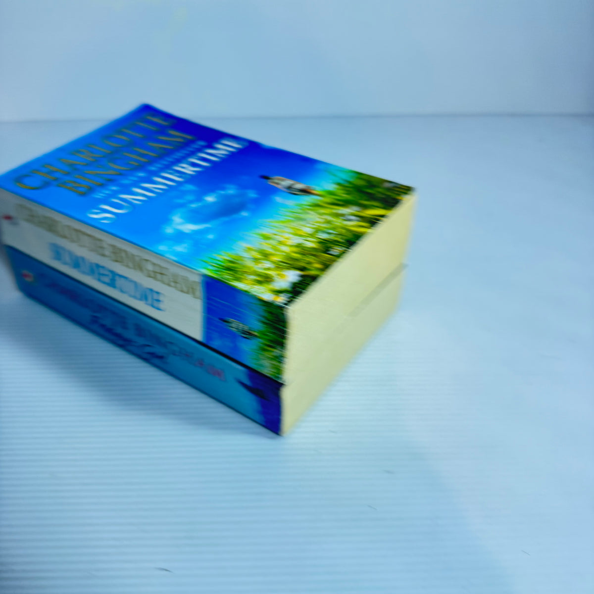 Charlotte Bingham Bundle x 2 : Summertime & Friday's Girl (3427)