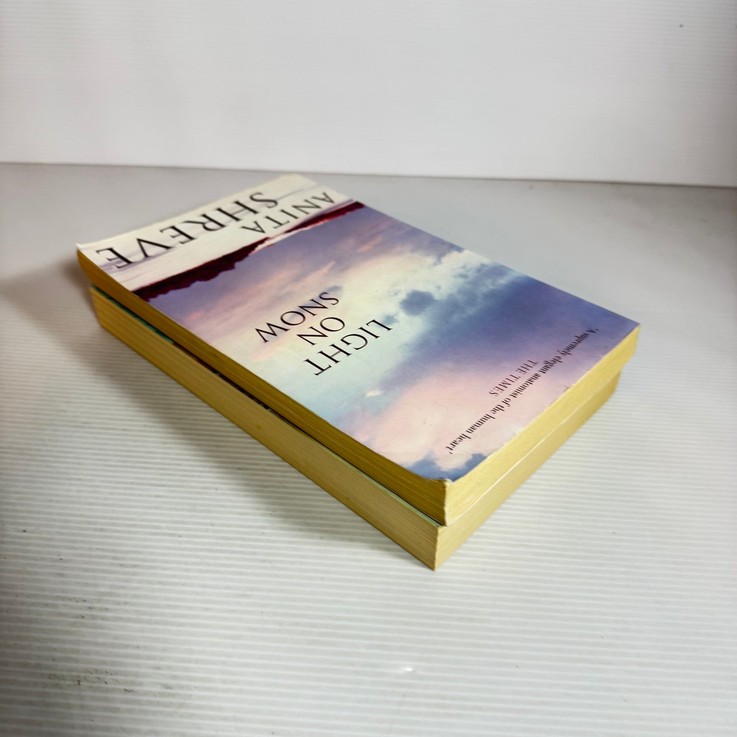Anita Shreve Book Bundle x 2 : The Last Time They Met & Light On Snow (2442)