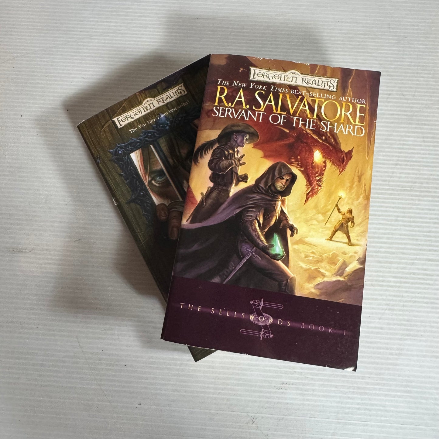 R. A. Salvatore Forgotten Realms Book Bundle x 2 : Servant of the Shard & The spine of the World (2961)