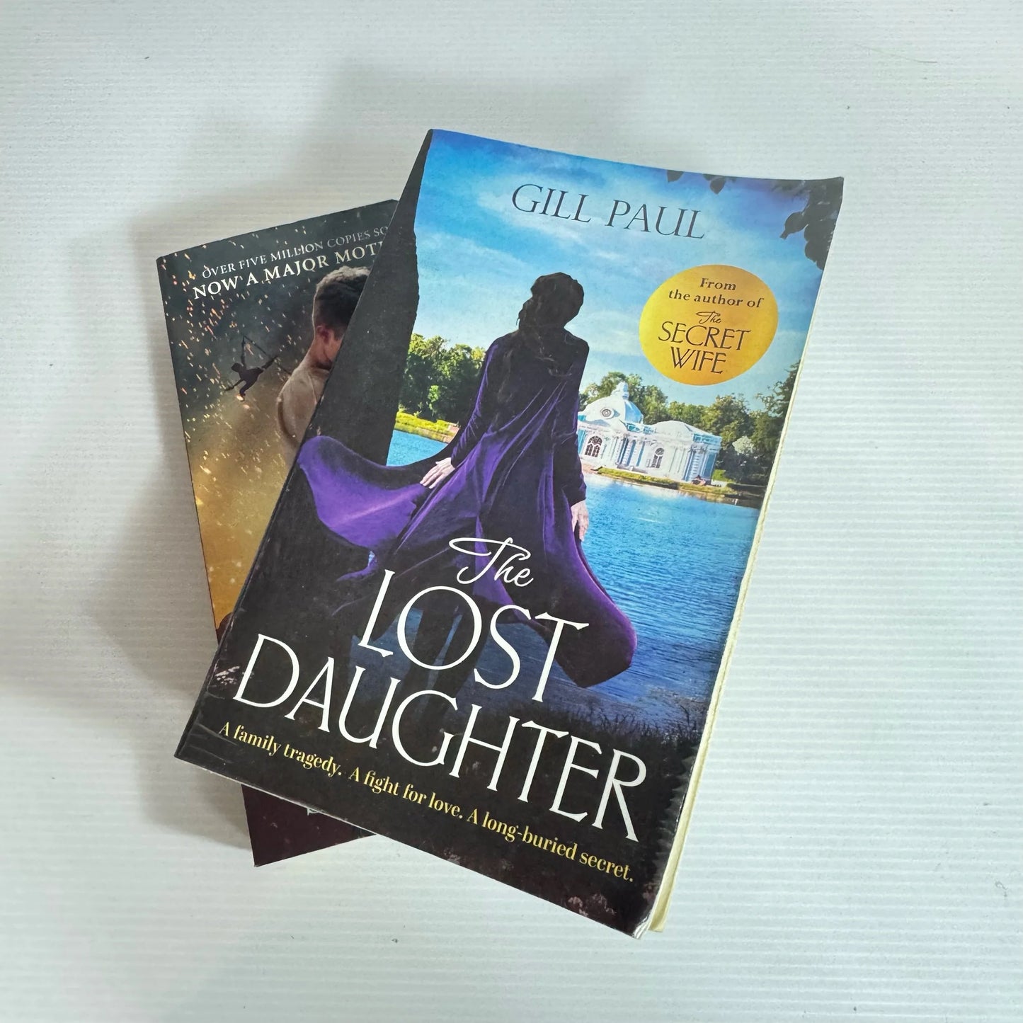 Romance Book Bundle x 2 Books : Water for Elephants - Sara Gruen & The Lost Daughter - Gill Paul (2162)