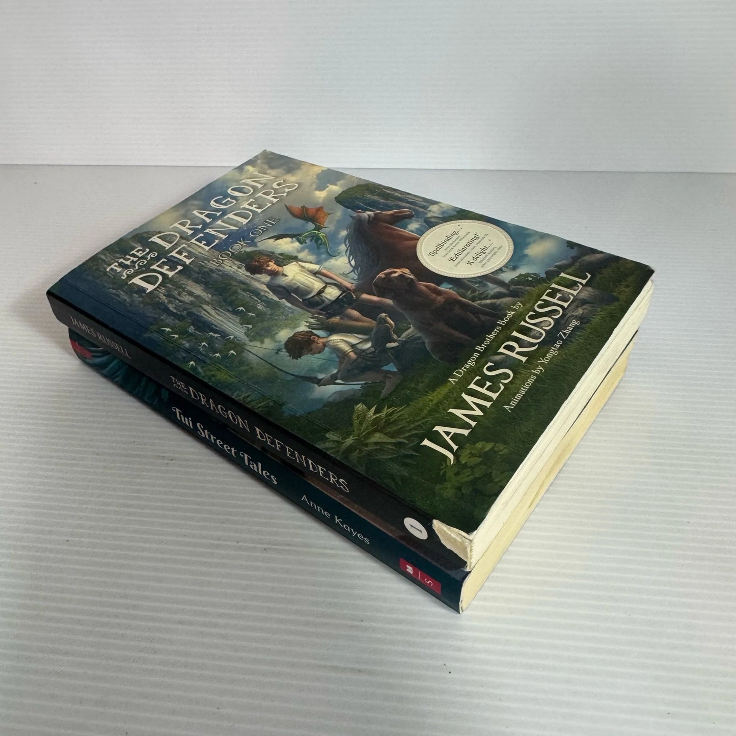 Children's Fantasy Book Bundle x 2 : The Dragon Defenders - James Russell & Tui Street Tales - Anne Kayes(2331)