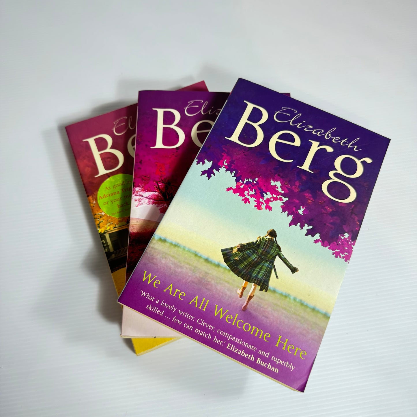 Elizabeth Berg Book Bundle x 3 : We Are All Welcome Here, The Year of Pleasures, The Art of Mending(3054)