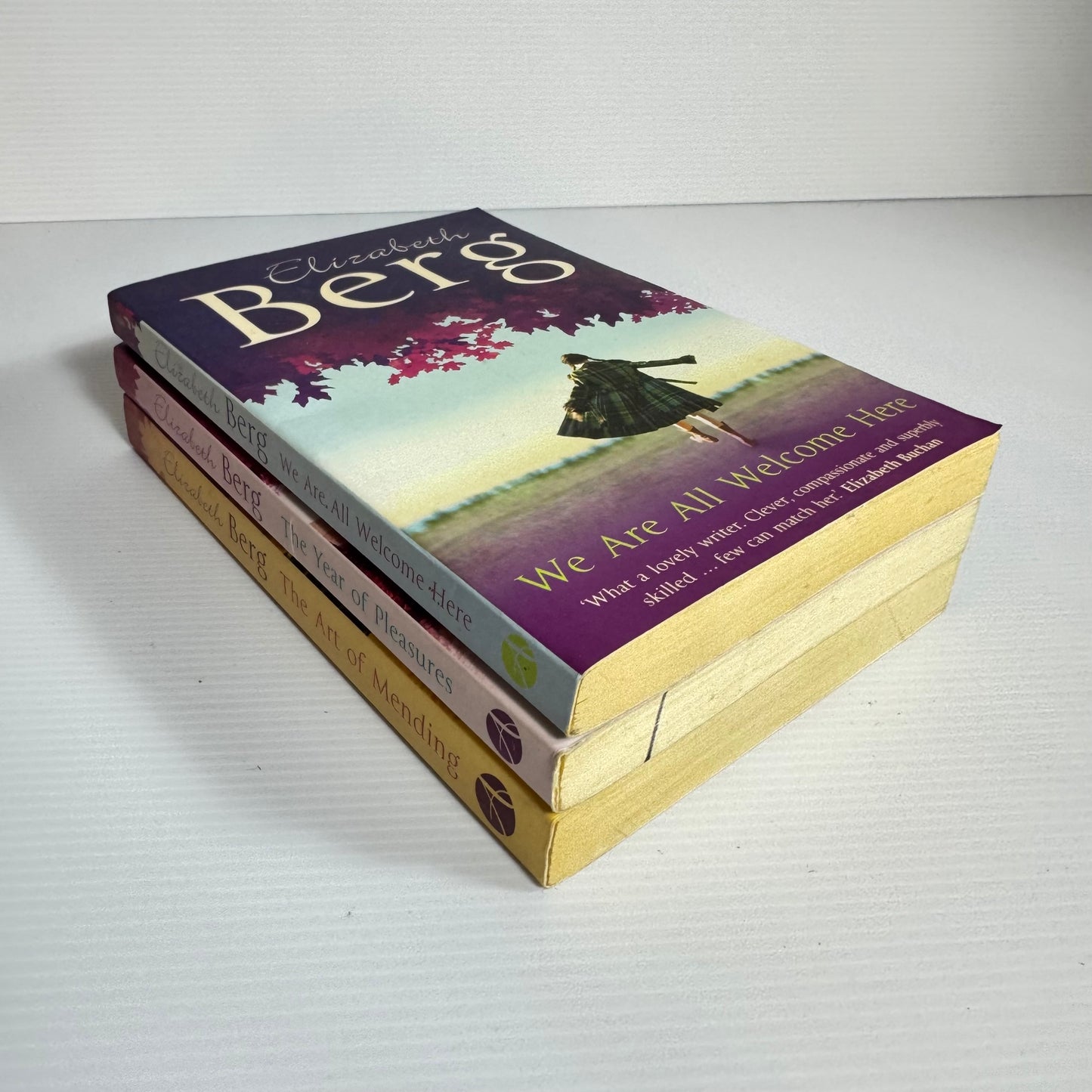 Elizabeth Berg Book Bundle x 3 : We Are All Welcome Here, The Year of Pleasures, The Art of Mending(3054)