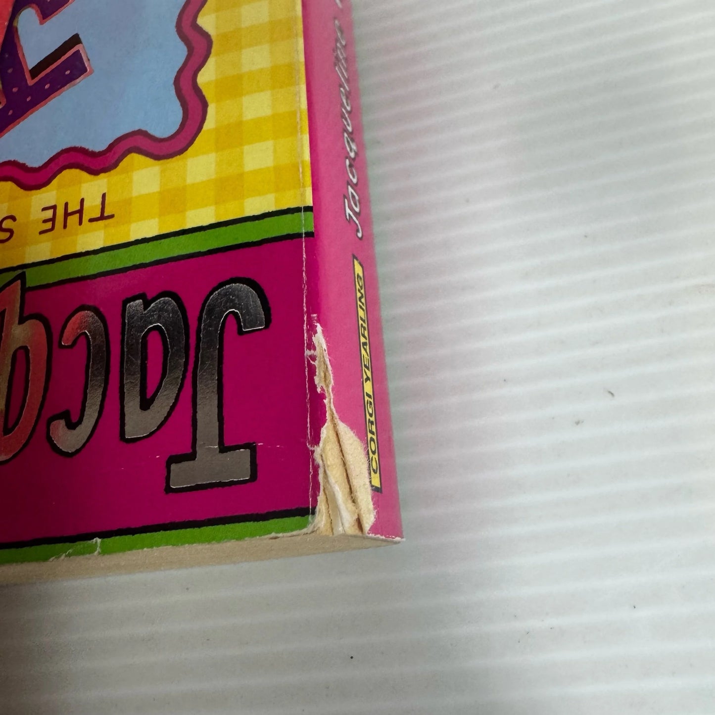 Jacqueline Wilson Book Bundle x 2 Books : Jacky Daydream & Hetty Feather (2315)