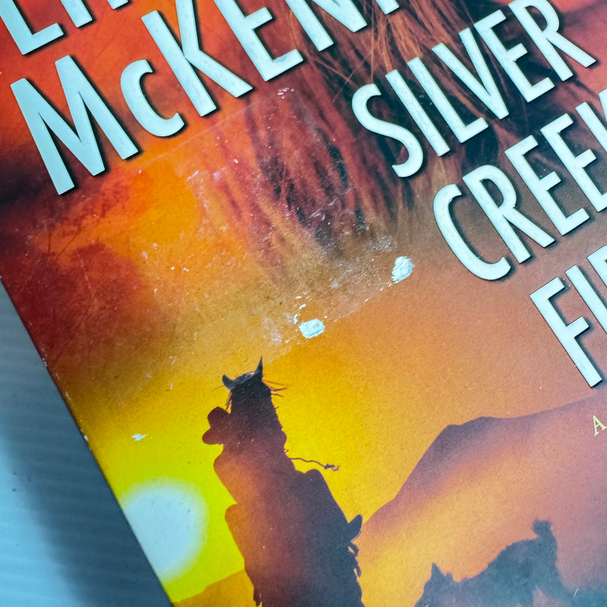 Western Action Bundle x 3 : Hell Hath No Fury - Charles G. West, Dutchman's Flat - Louis L'Amour, Silver Creek Fire - Lindsay McKenna (3391)