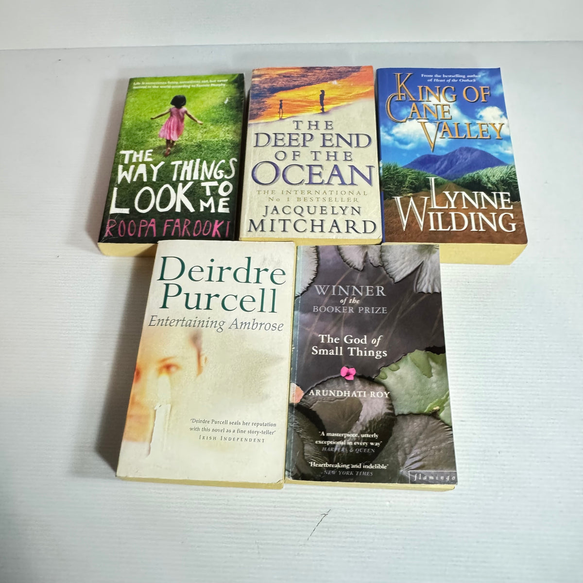 Family Saga Bundle x 5 : The Depp End of The Ocean - Jacquelyn Mitchard, The Way Things Look To Me - Roopa Farooki, King of Cane Valley - Lynne Wilding, Entertaining Ambrose - Deirdre Purcell, The God of Small Things - Arundhati Roy (3372)