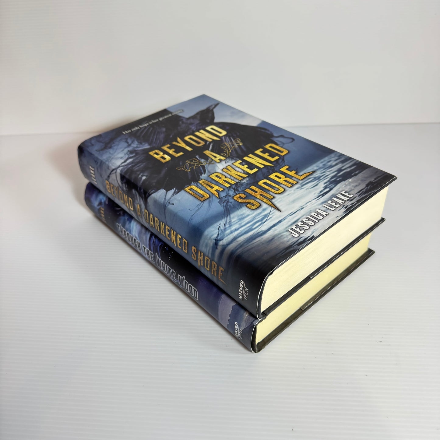 Jessica Leake Book Bundle x 2 : Beyond A Darkened Shore & Through The White Wood (3072)
