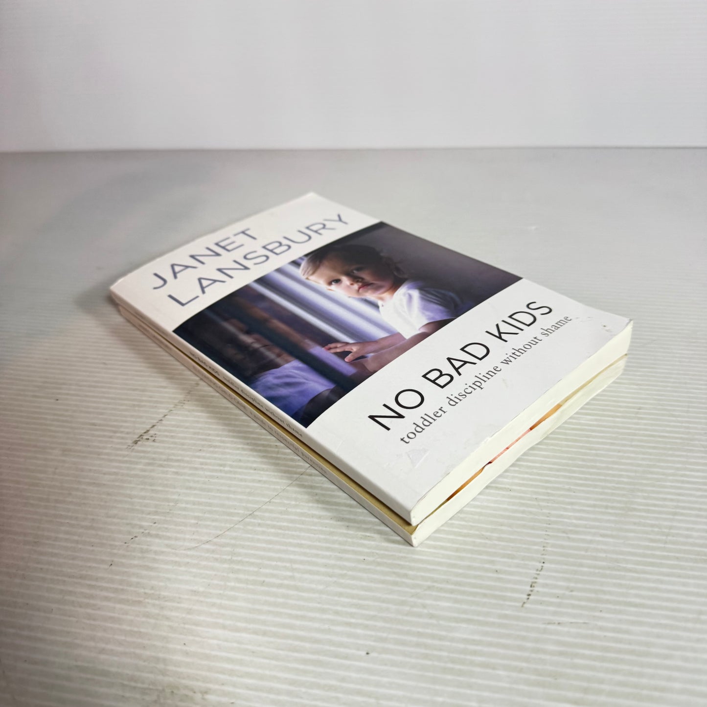 Janet Lansbury Book Bundle x 2 : No Bad Kids Toddler Discipline Without Shame & Elevating Child Care a Guide to Respectful Parenting(2983)