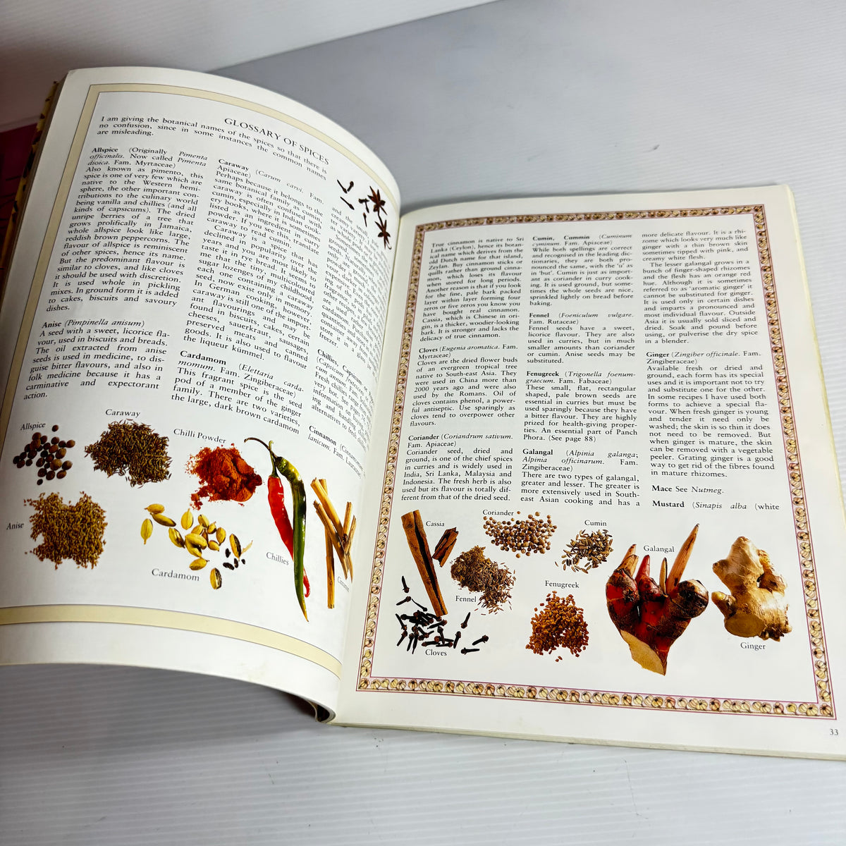 Hot & Spicey Cookbook Bundle x 2 : Hot Food and Hot & Spicey Cookbook - Charmaine Solomon(3220)