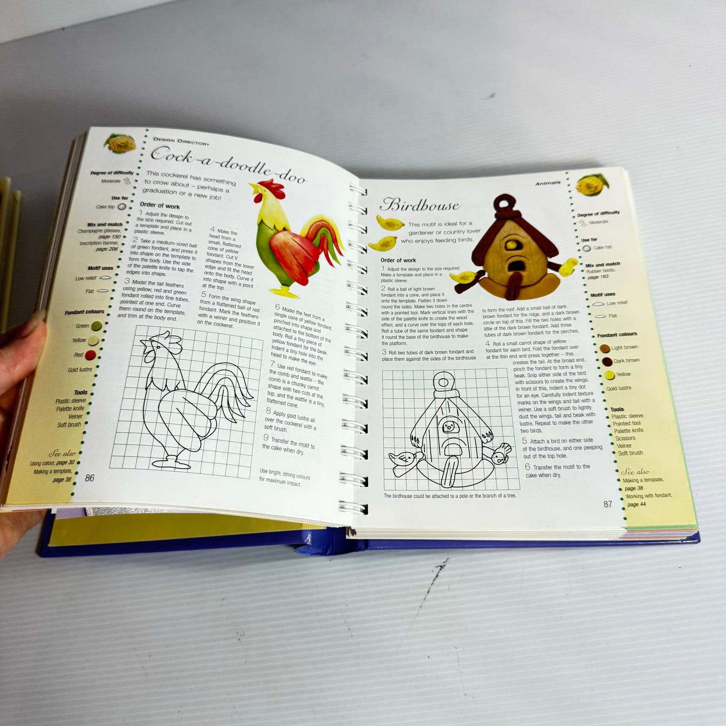 Cake Decoration Book Bundle x 2 Books (3222)