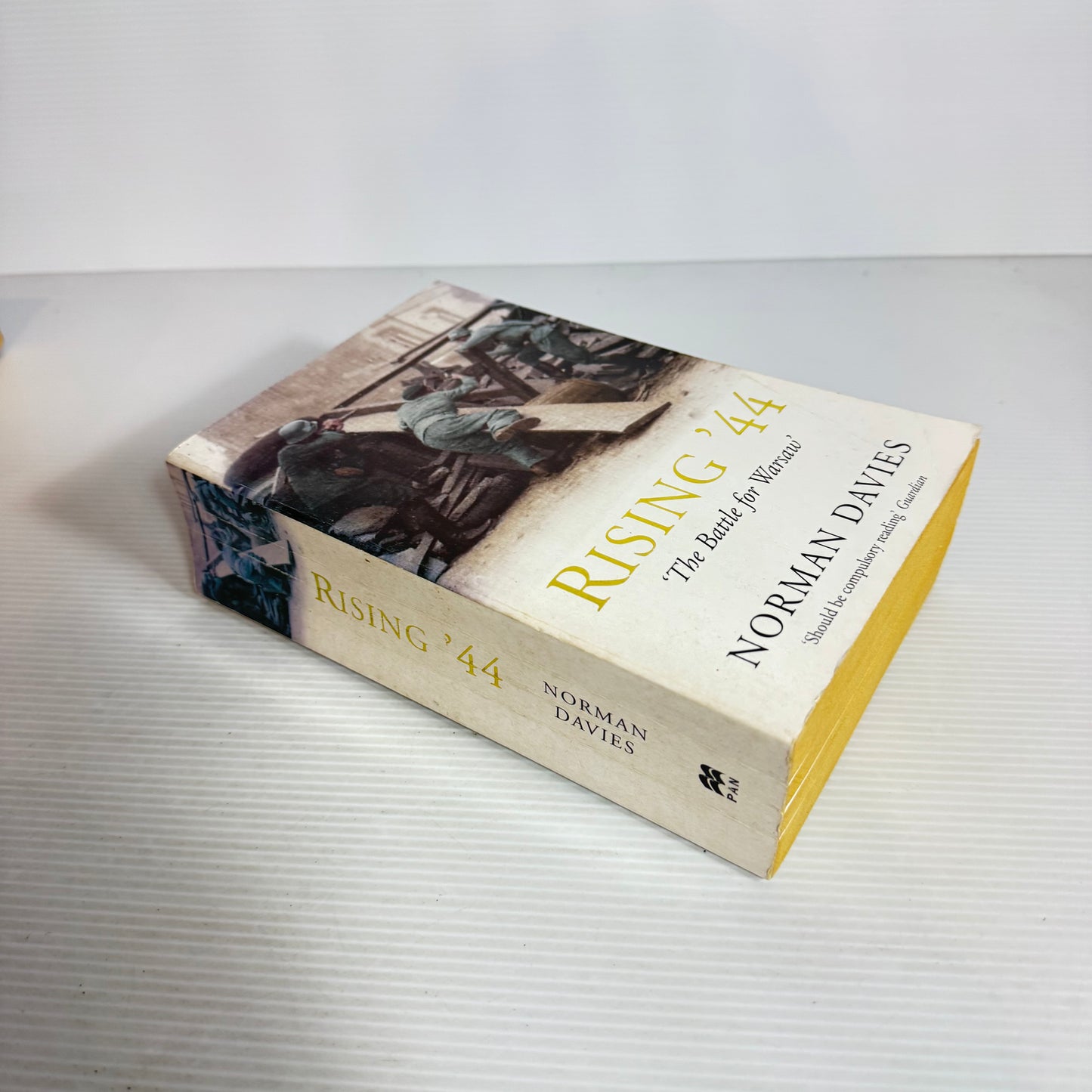 Rising '44 : The Battle for Warsaw' - Norman Davies