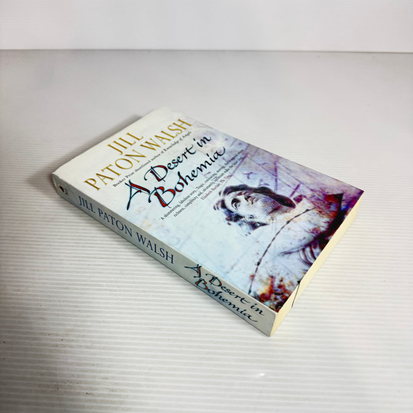 A Desert in Bohemia - Jill Paton Walsh