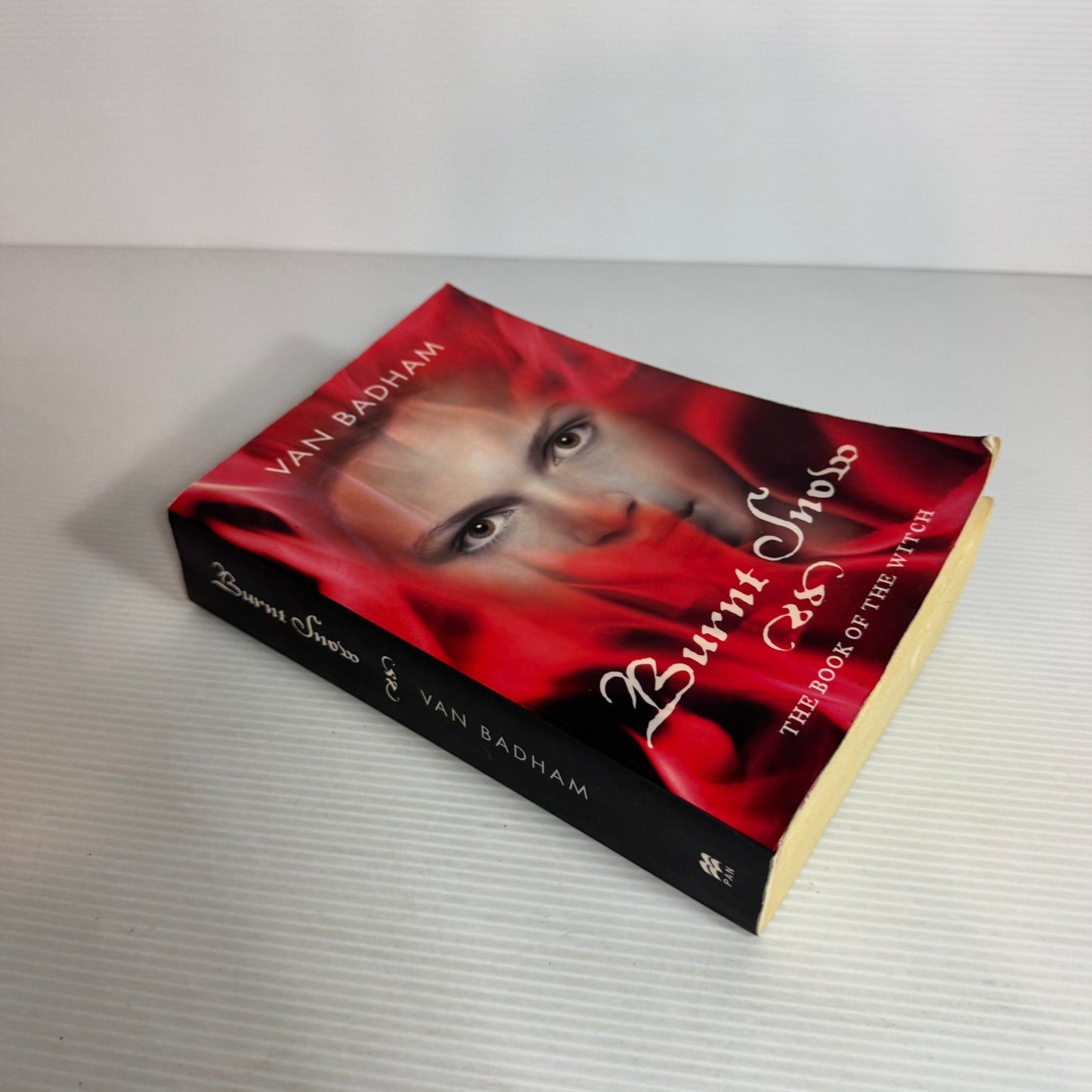 Burnt Snow - Van Badham