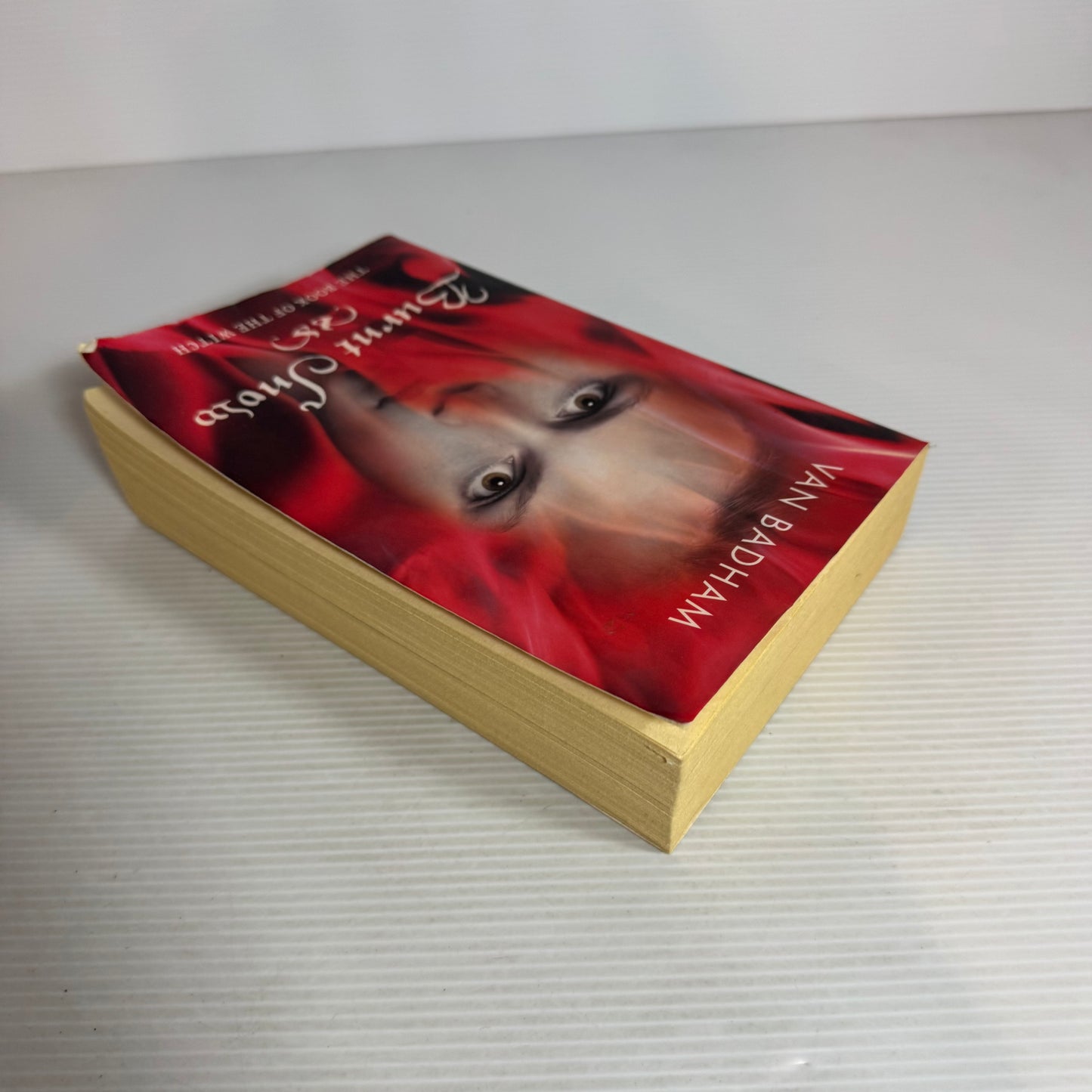 Burnt Snow - Van Badham