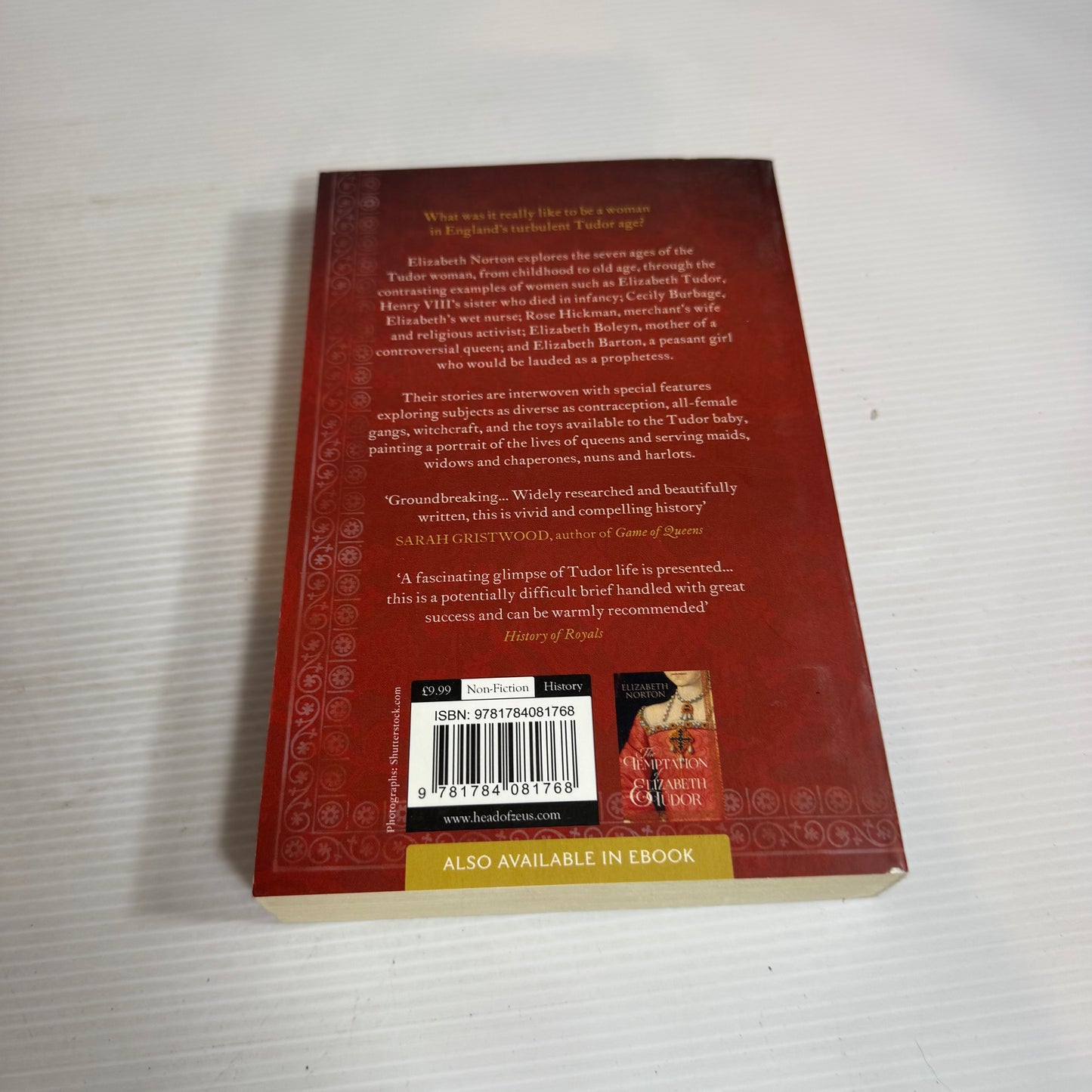 The Lives of Tudor Women - Elizabeth Norton