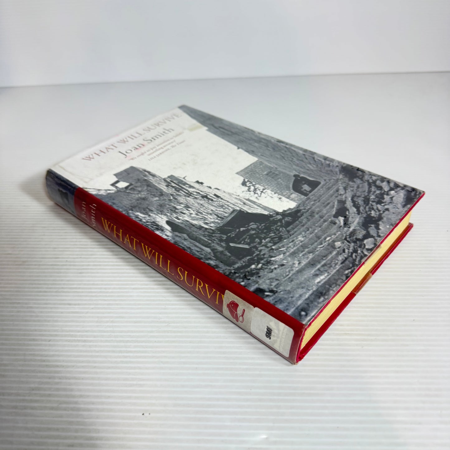 What Will Survive - Joan Smith