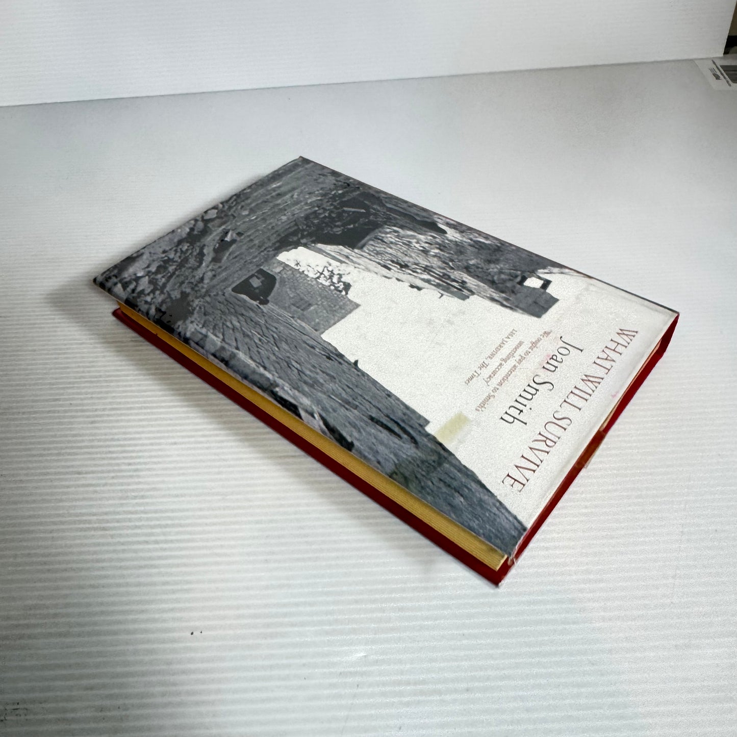 What Will Survive - Joan Smith