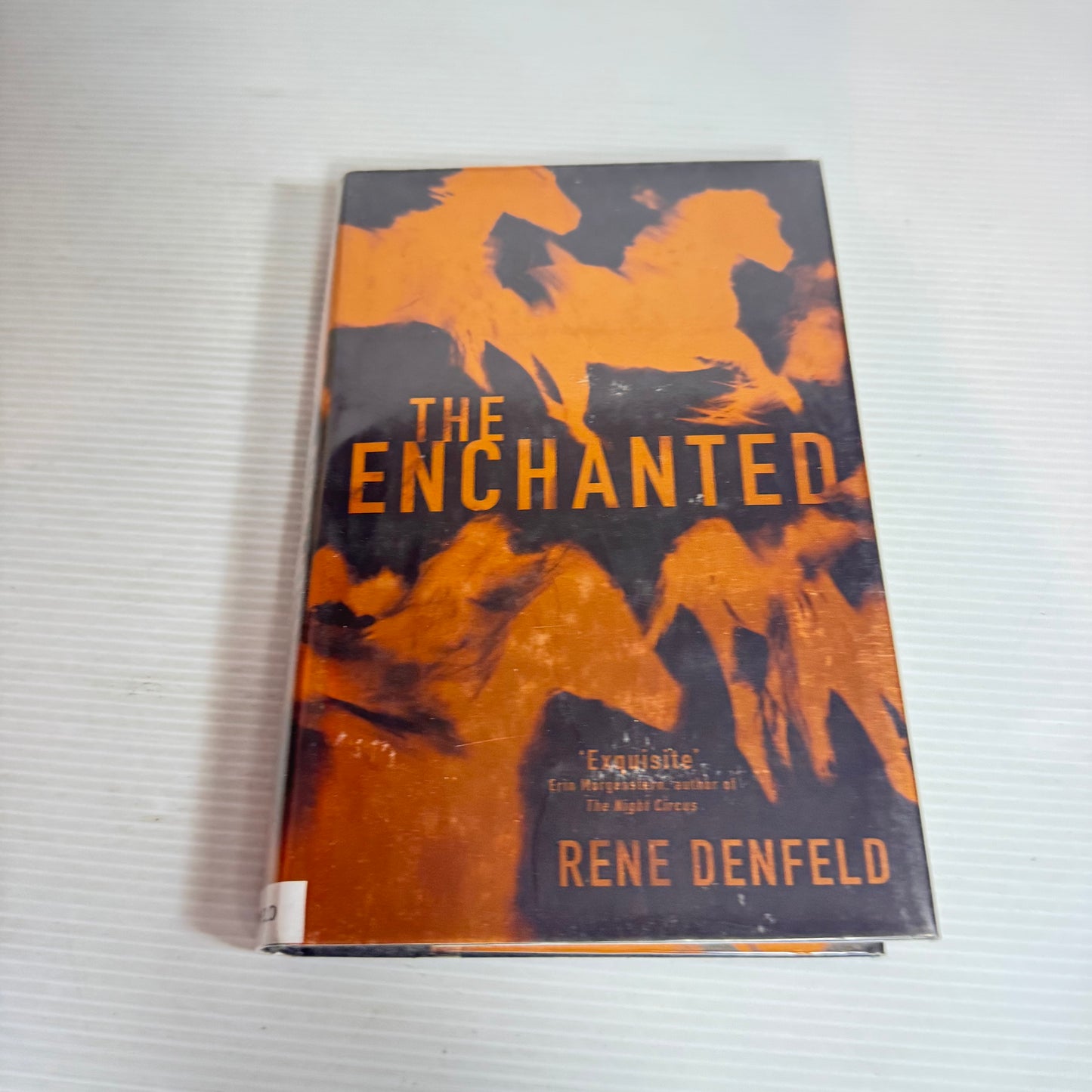 The Enchanted - Rene Denfeld