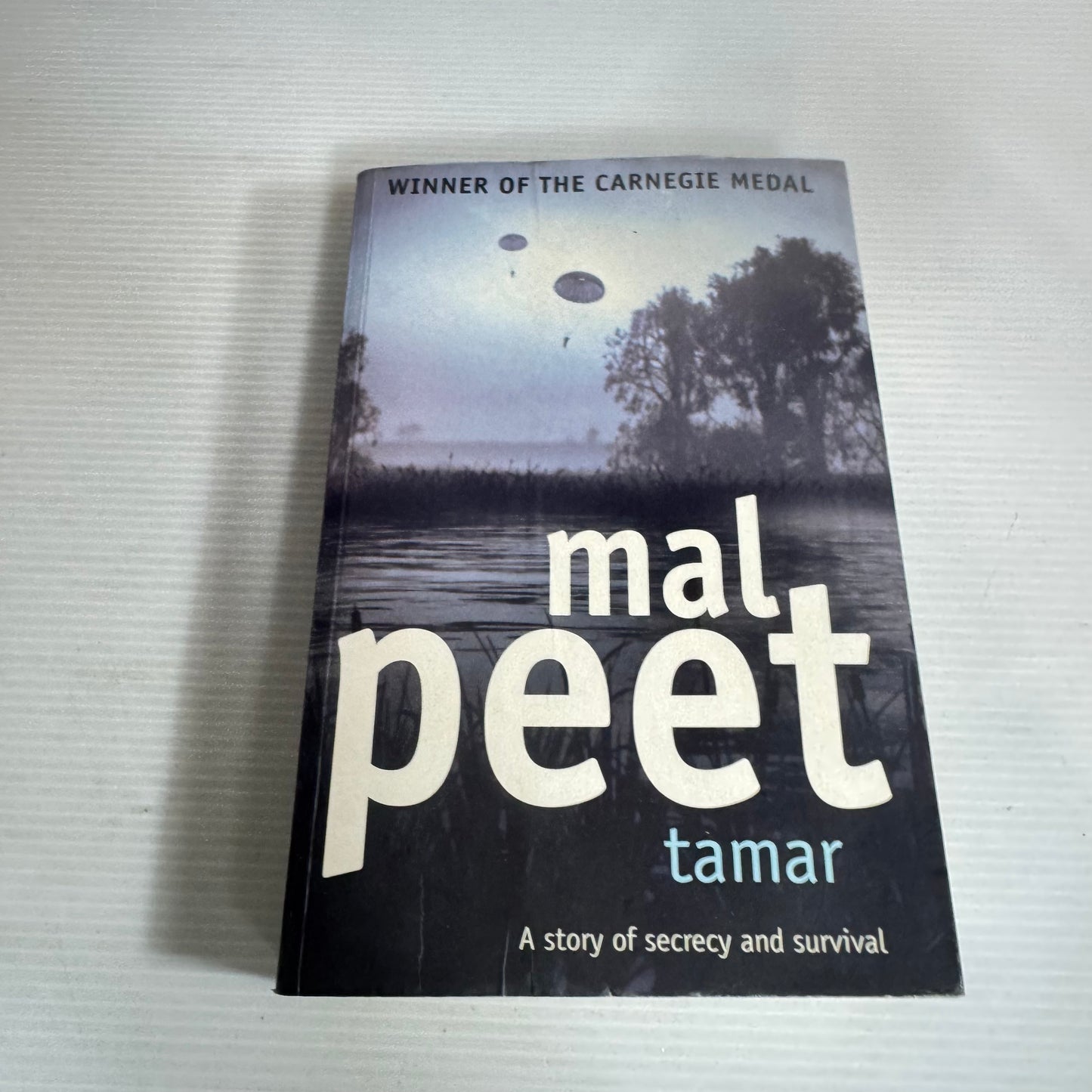Tamar - Mal Peet