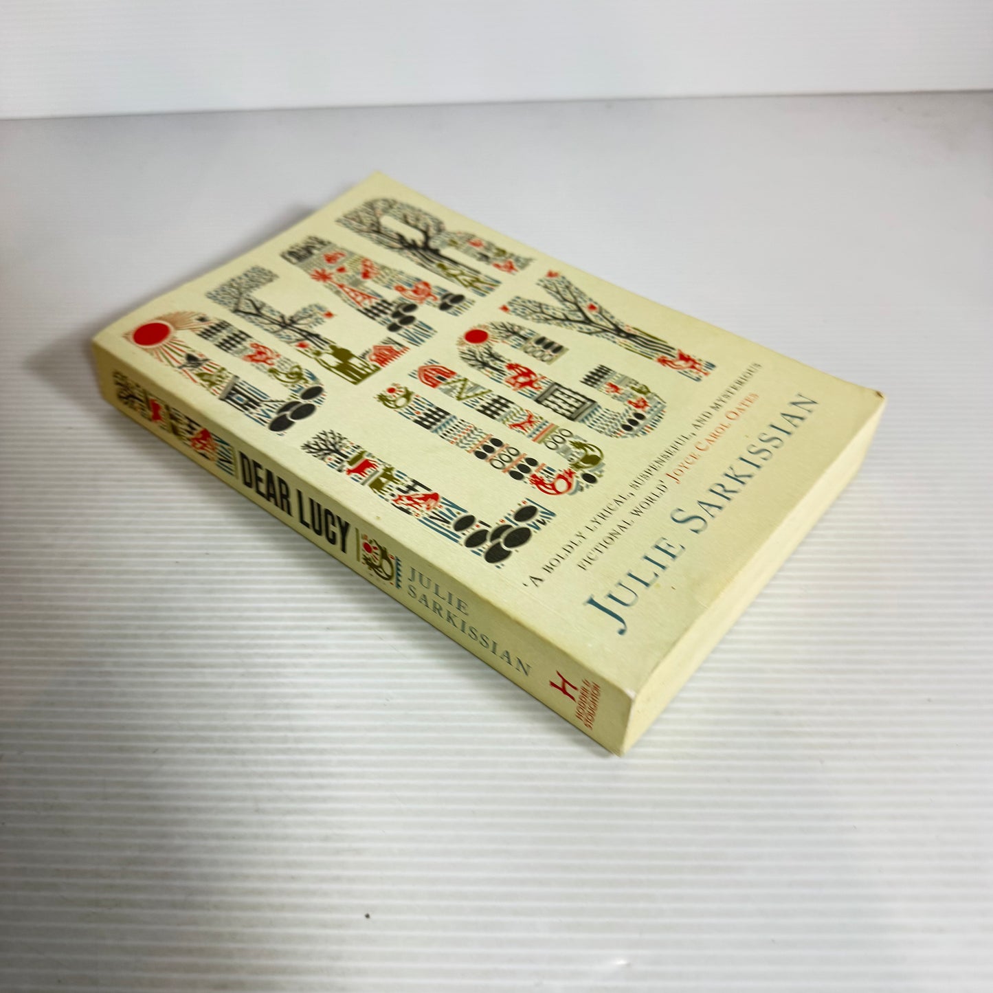 Dear Lucy - Julie Sarkissian