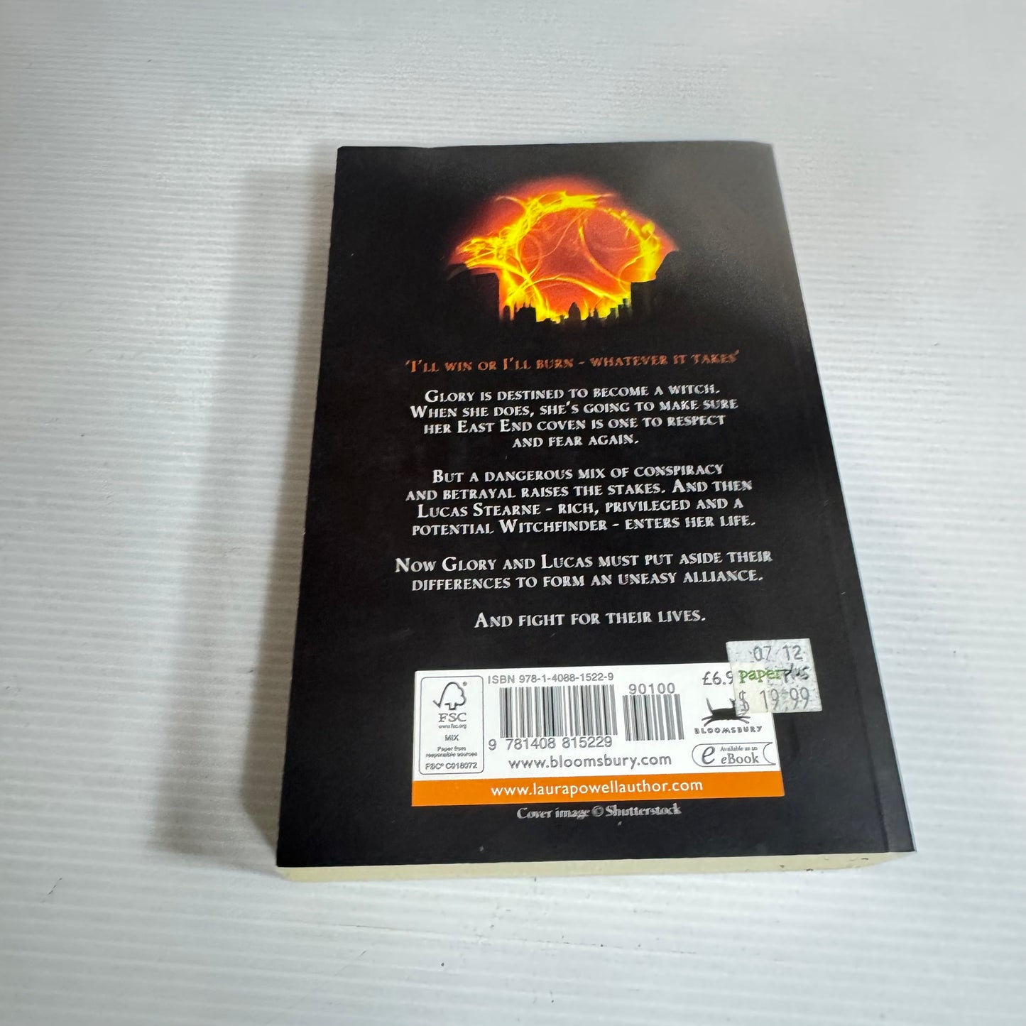 Burn Mark - Laura Powell