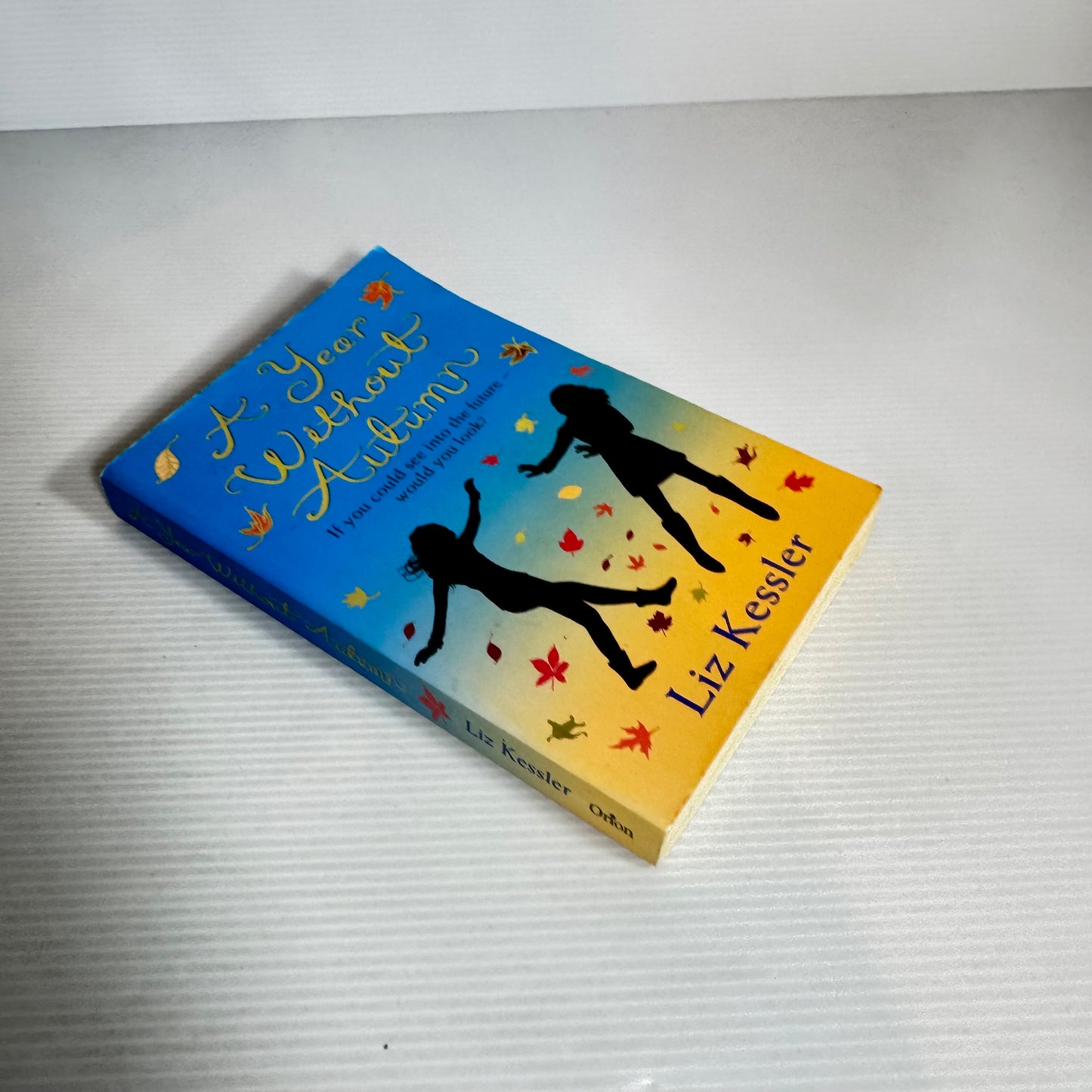 A Year Without Autumn - Liz Kessler