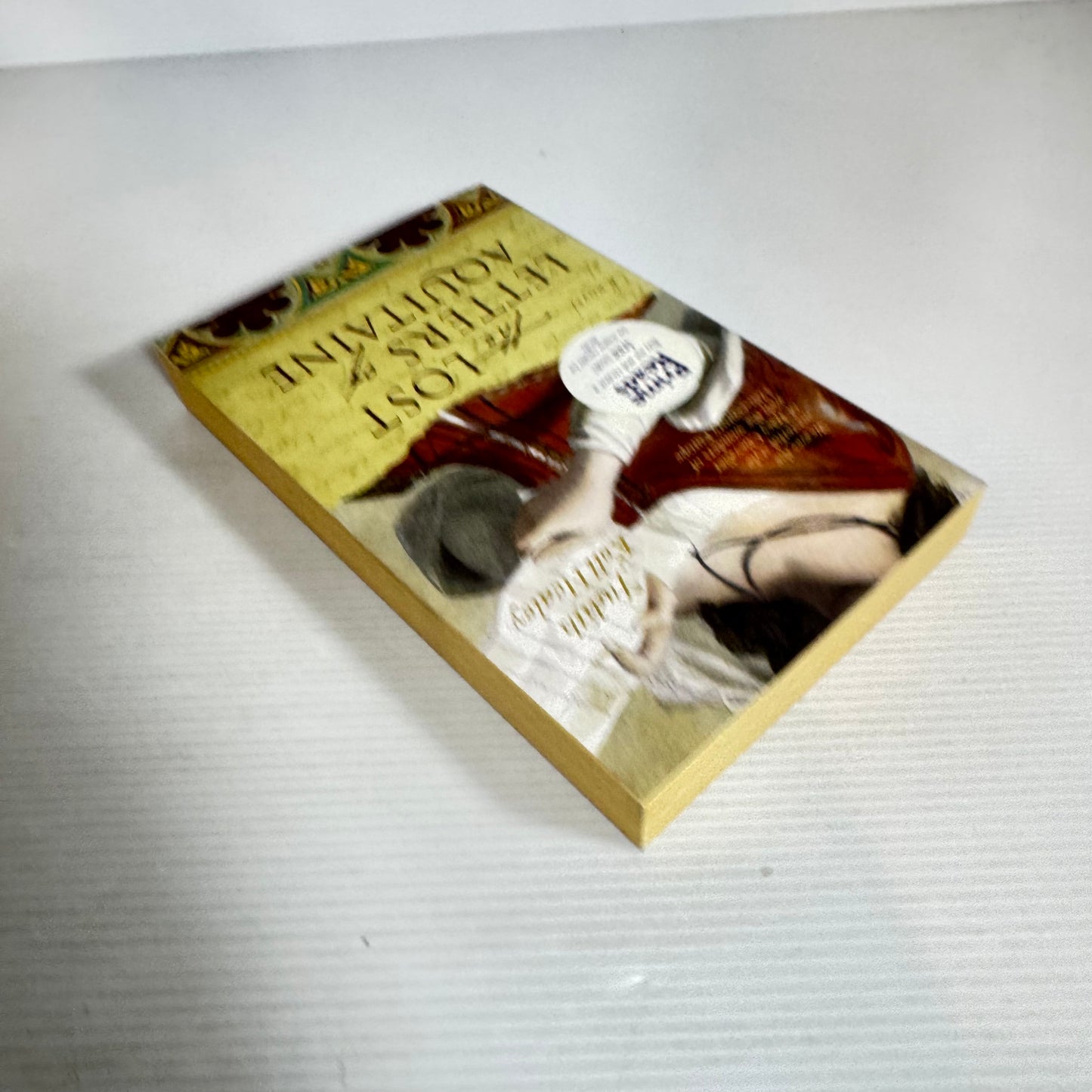 The Lost Letters of Aquitaine - Judith Koll Healey