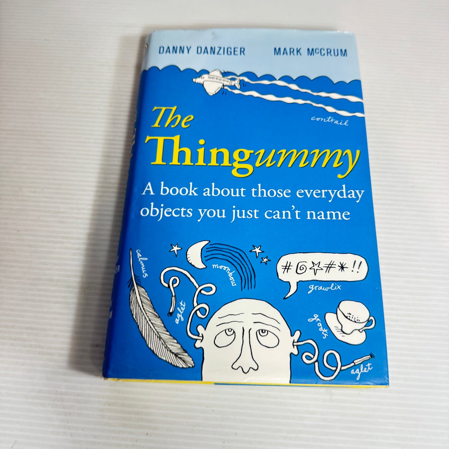 The Thingummy : A Book About Those Everyday Objects You Just Can't Name - Danny Danziger & Mark McCrum