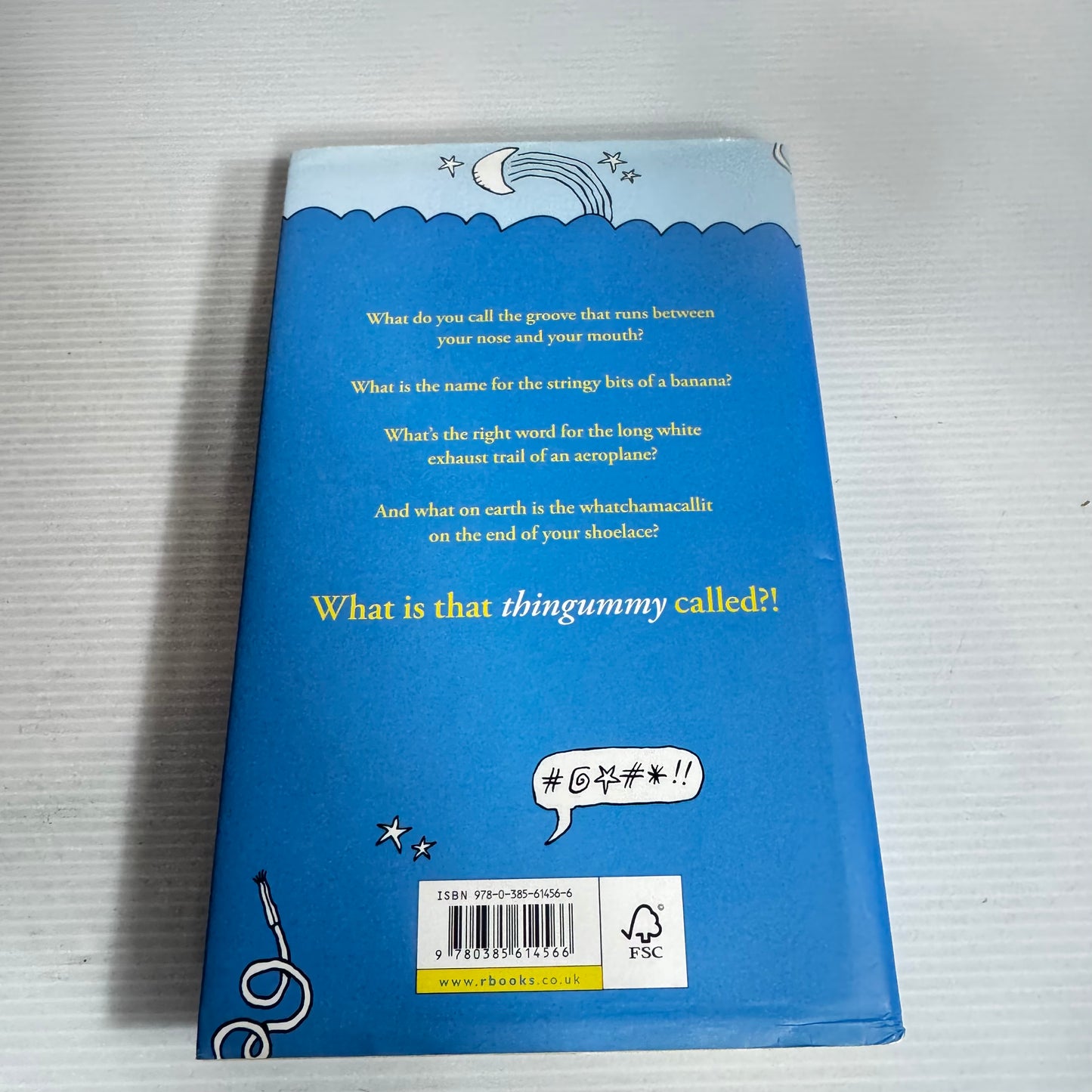 The Thingummy : A Book About Those Everyday Objects You Just Can't Name - Danny Danziger & Mark McCrum