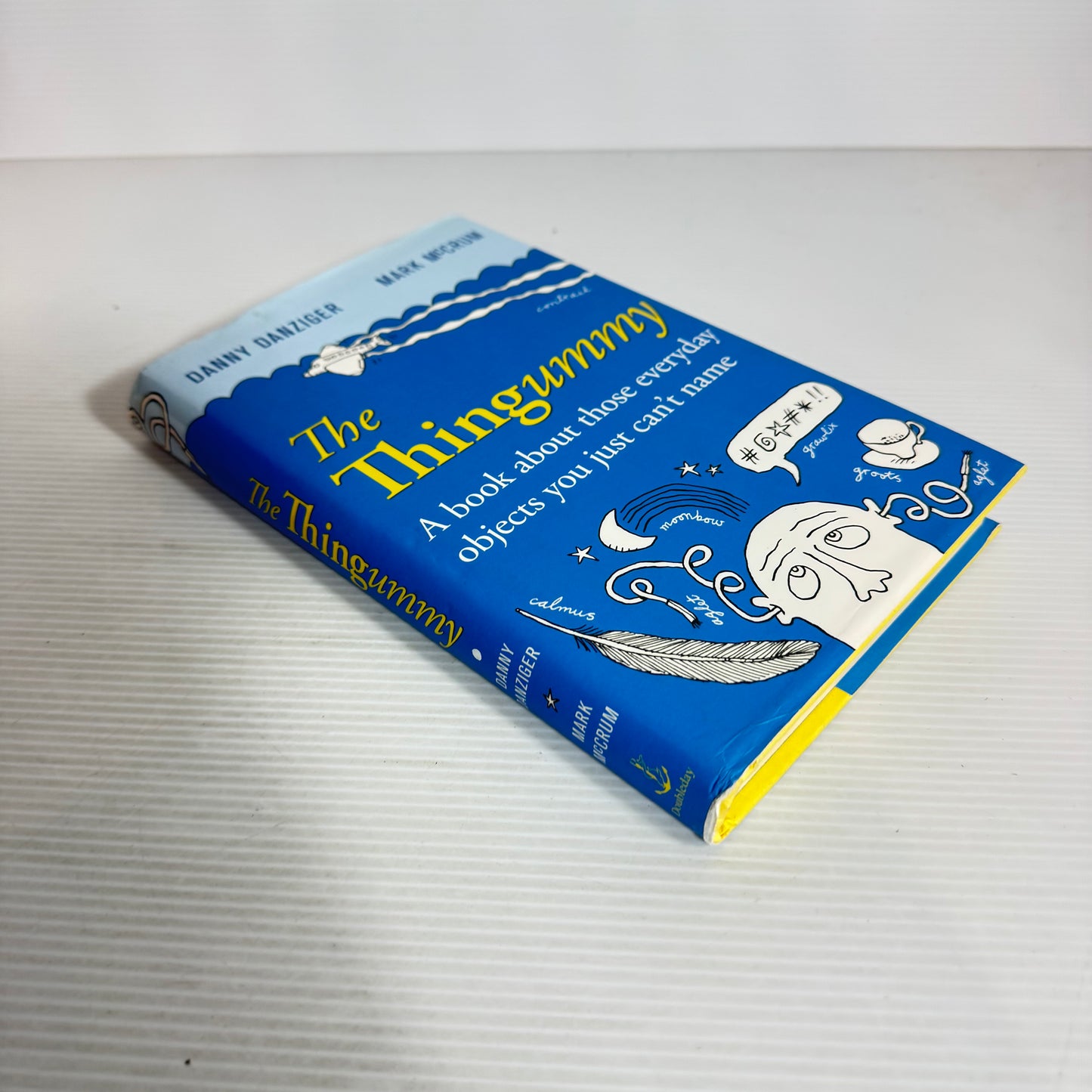 The Thingummy : A Book About Those Everyday Objects You Just Can't Name - Danny Danziger & Mark McCrum