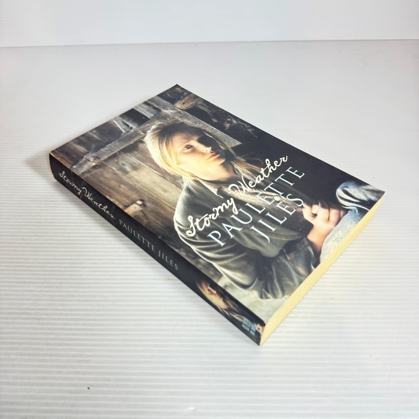 Stormy Weather - Paulette Jiles