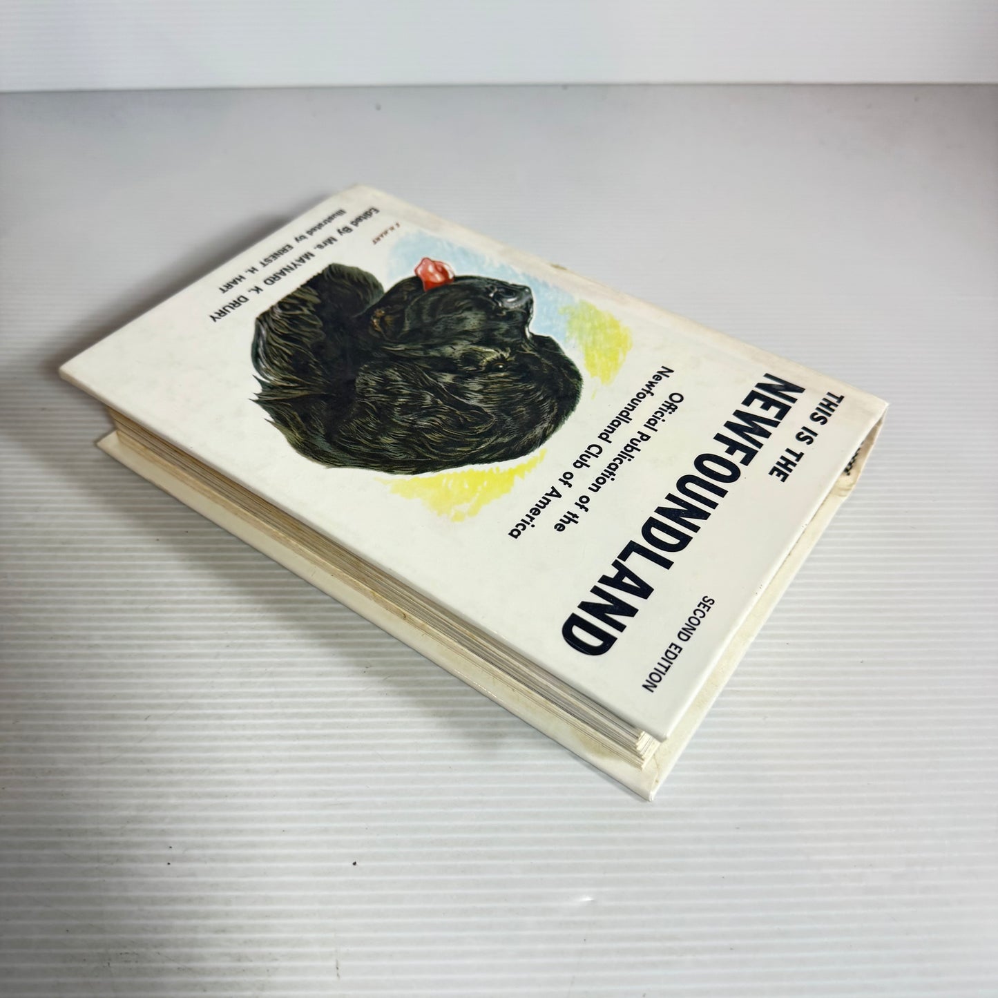This Is The Newfoundland : Official Publication of the Newfoundland Club of America - Edited by Mrs. Maynard K. Drury