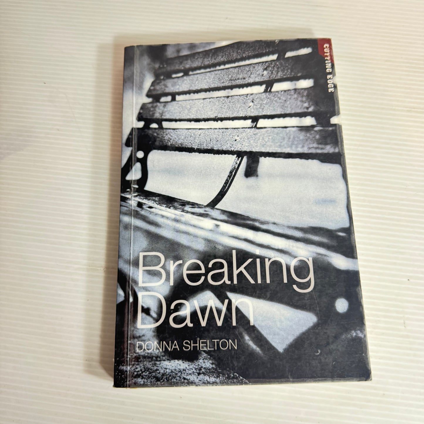 Breaking Dawn - Donna Shelton