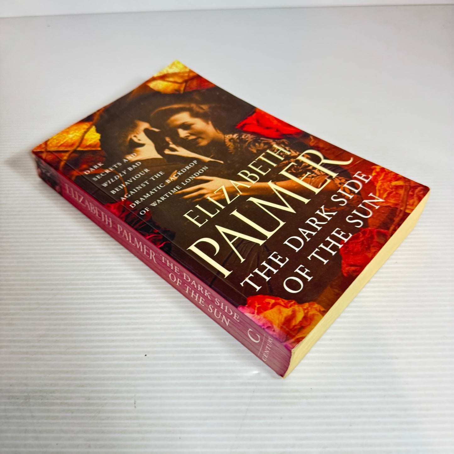 The Dark Side of The Sun - Elizabeth Palmer