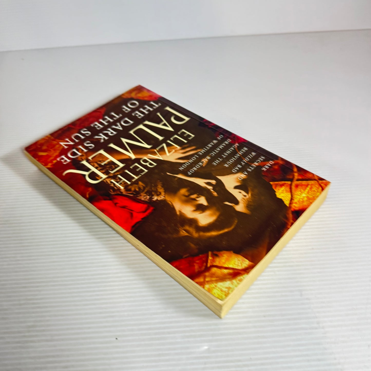 The Dark Side of The Sun - Elizabeth Palmer
