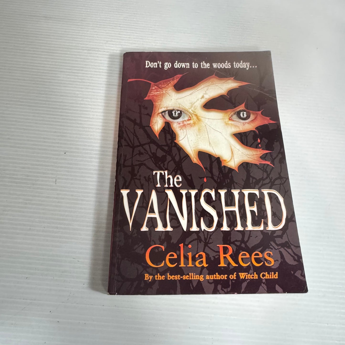 The Vanished - Celia Rees