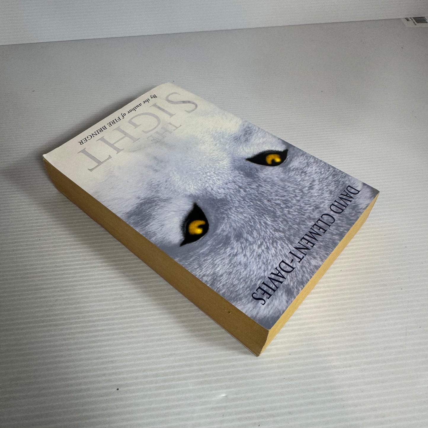 The Sight - David Clement-Davies