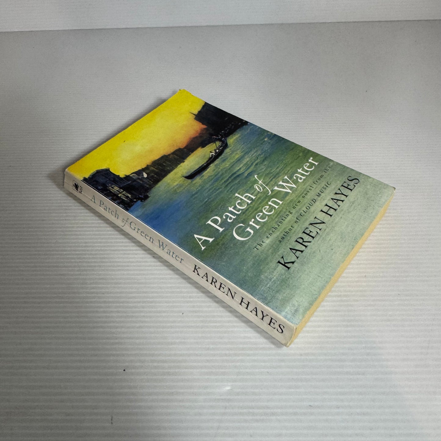 A Patch Of Green Water - Karen Hayes