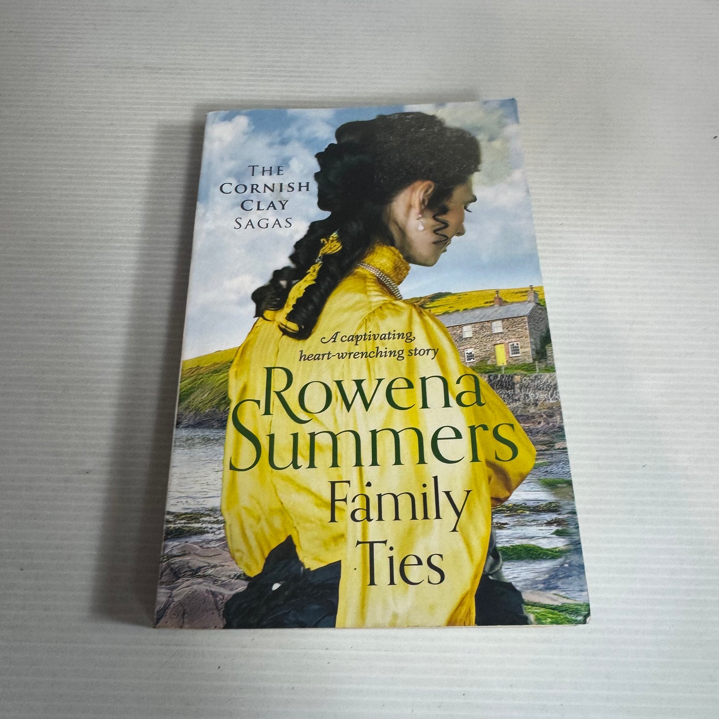 Family Ties - Rowena Summers