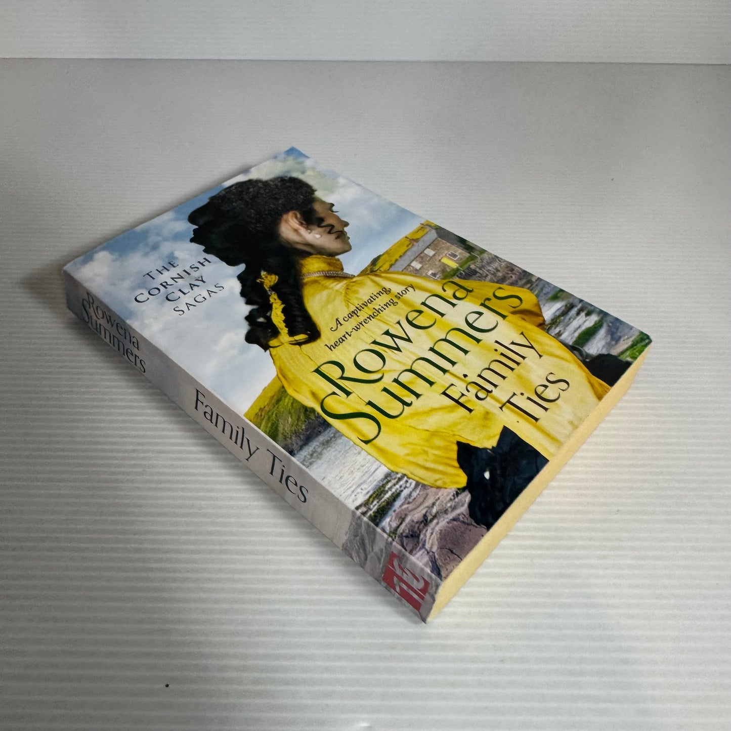 Family Ties - Rowena Summers