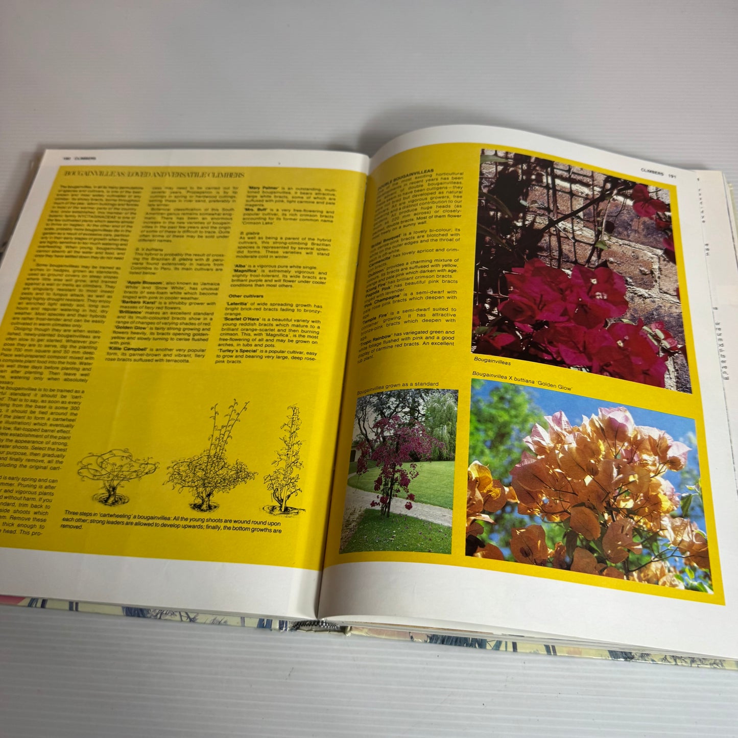 New Zealand Gardening A-Z A Practical Handbook - W.G. Sheat